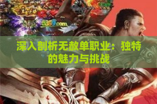 深入剖析无赦单职业：独特的魅力与挑战